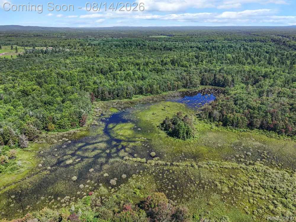 2738 S Thompsonville Road Weldon Township, MI 49683