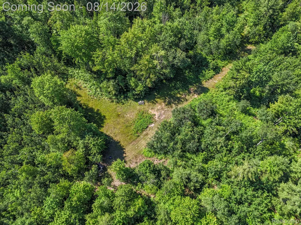 2738 S Thompsonville Road Weldon Township, MI 49683