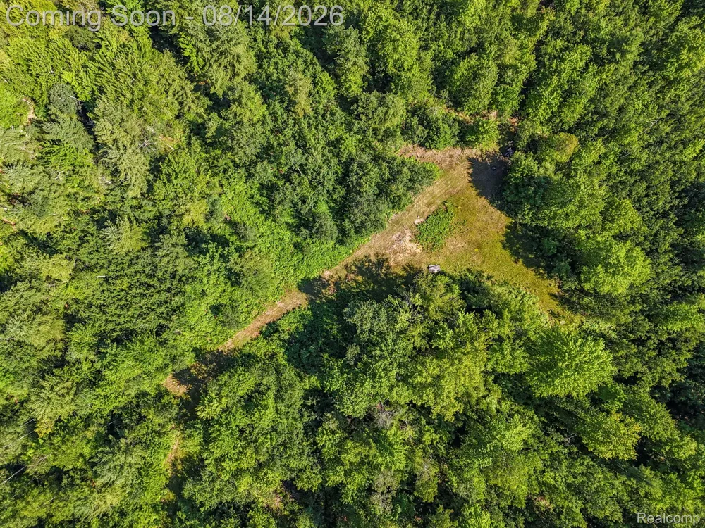 2738 S Thompsonville Road Weldon Township, MI 49683