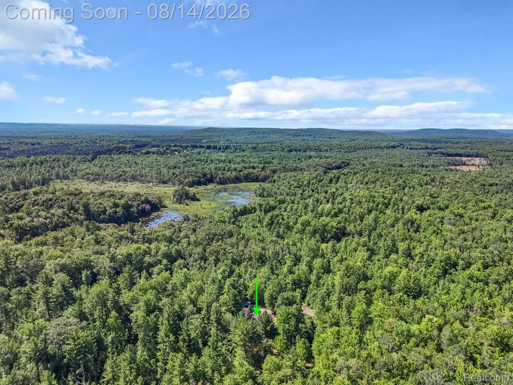 2738 S Thompsonville Road Weldon Township, MI 49683
