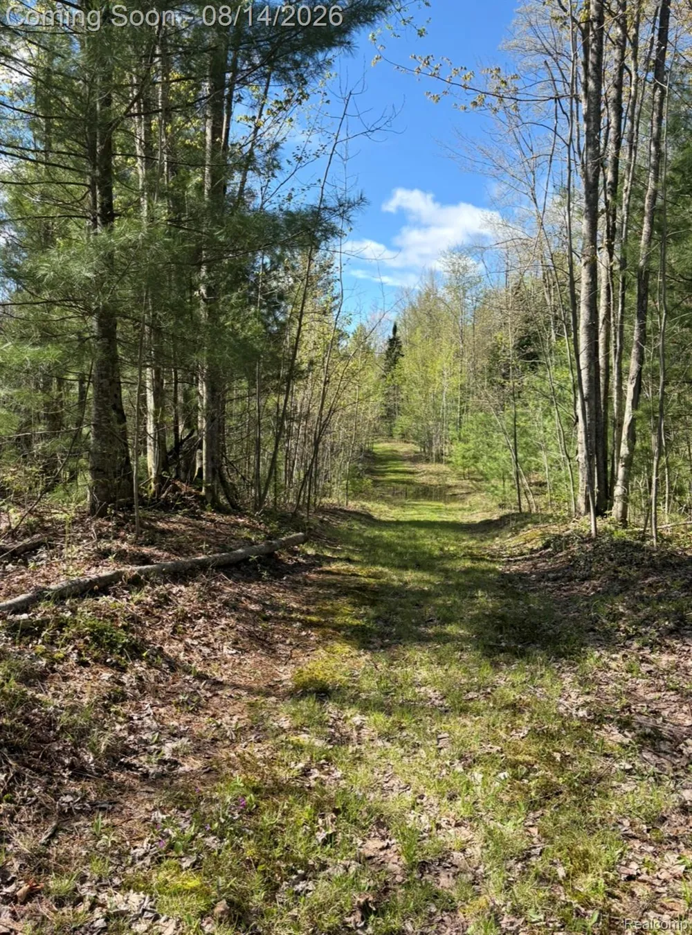 2738 S Thompsonville Road Weldon Township, MI 49683