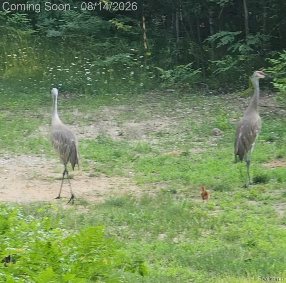 2738 S Thompsonville Road Weldon Township, MI 49683
