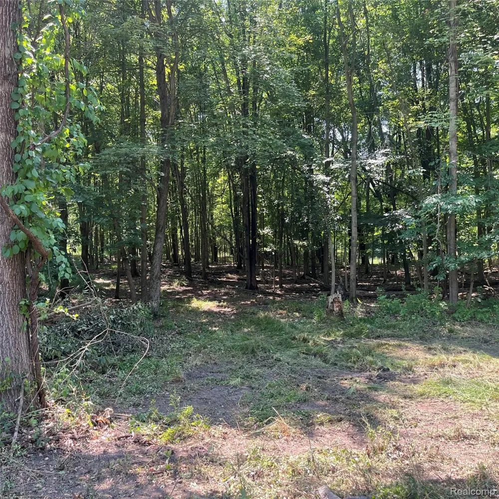 1255 Houghton Trail Groveland Township, MI 48462