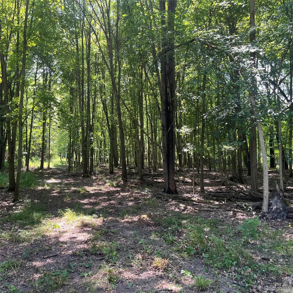 1255 Houghton Trail Groveland Township, MI 48462