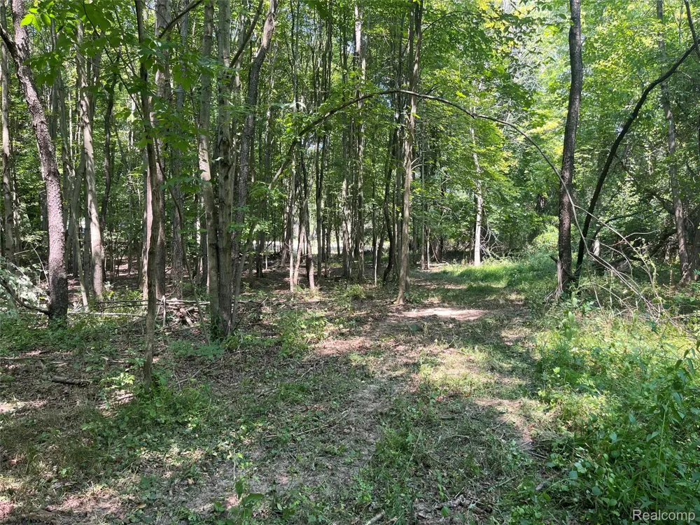 1255 Houghton Trail Groveland Township, MI 48462