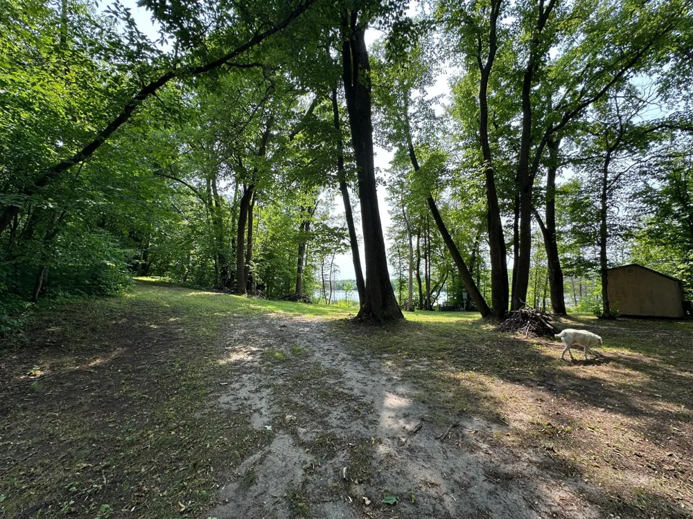 TBD Frazee Road Frazee, MN 56544
