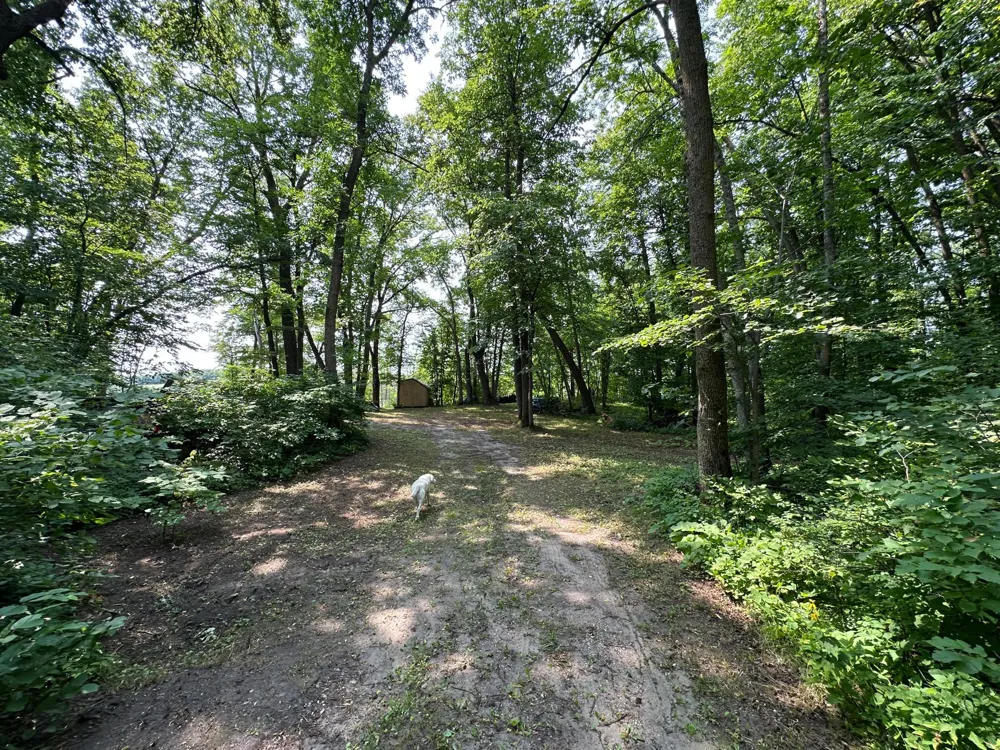 TBD Frazee Road Frazee, MN 56544