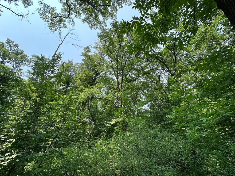 TBD Frazee Road Frazee, MN 56544