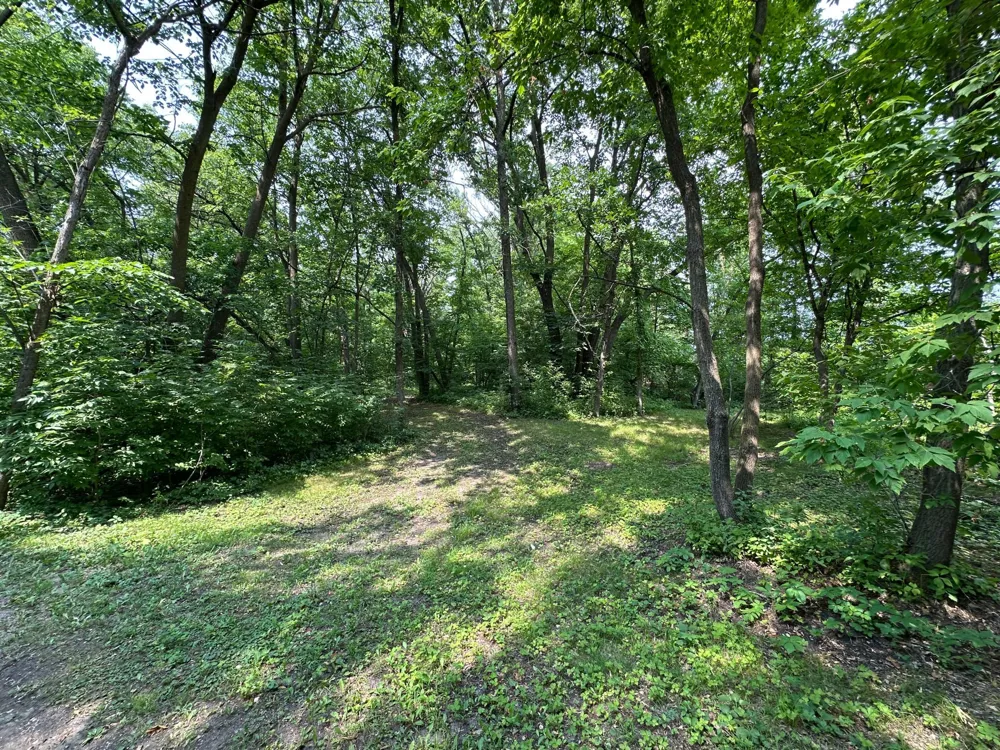 TBD Frazee Road Frazee, MN 56544