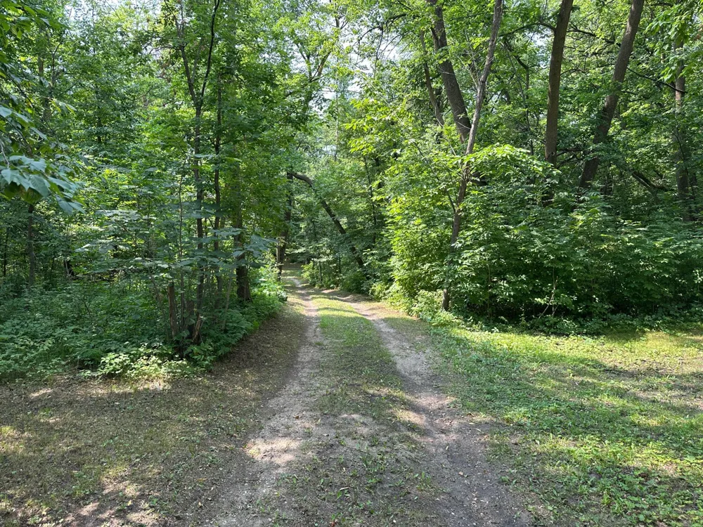 TBD Frazee Road Frazee, MN 56544
