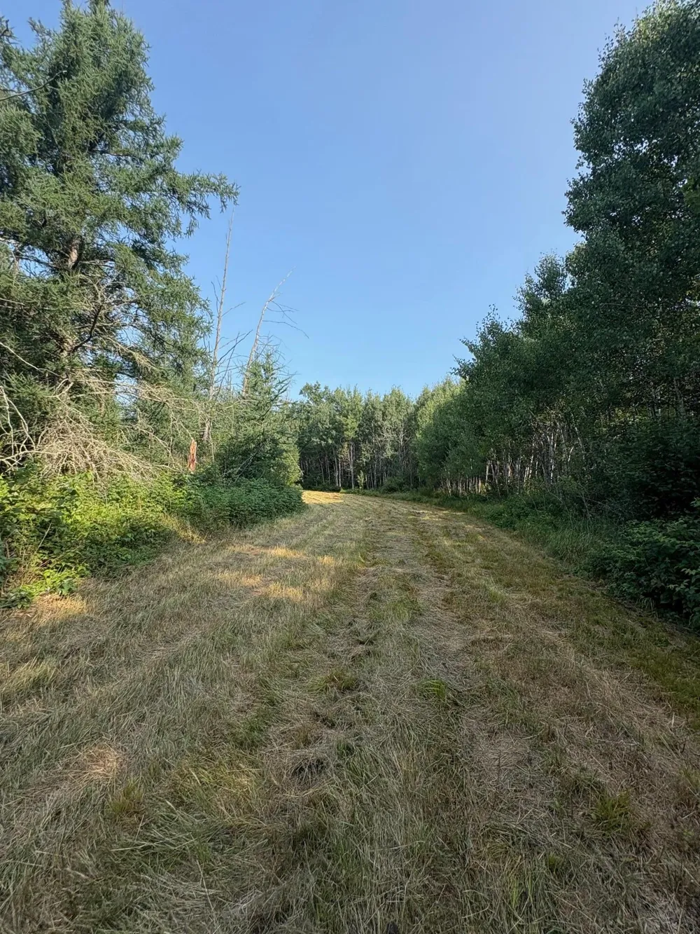 40243 650th Street Swatara, MN 55785