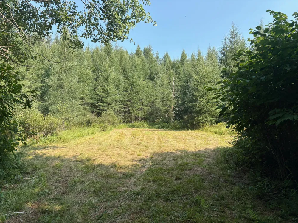 40243 650th Street Swatara, MN 55785