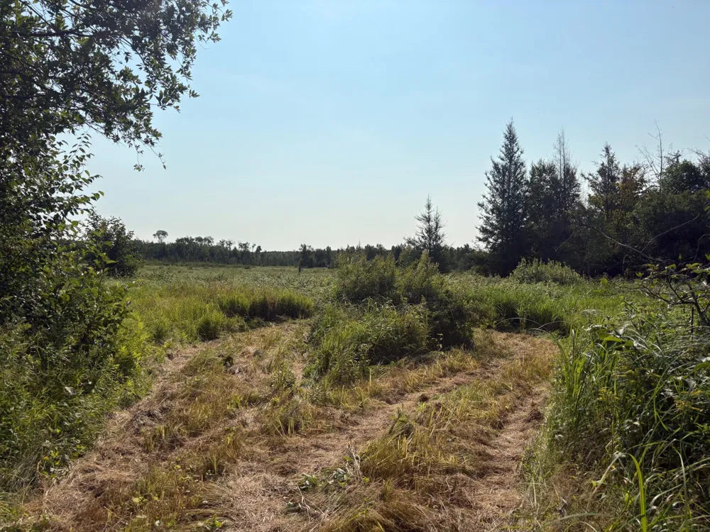 40243 650th Street Swatara, MN 55785