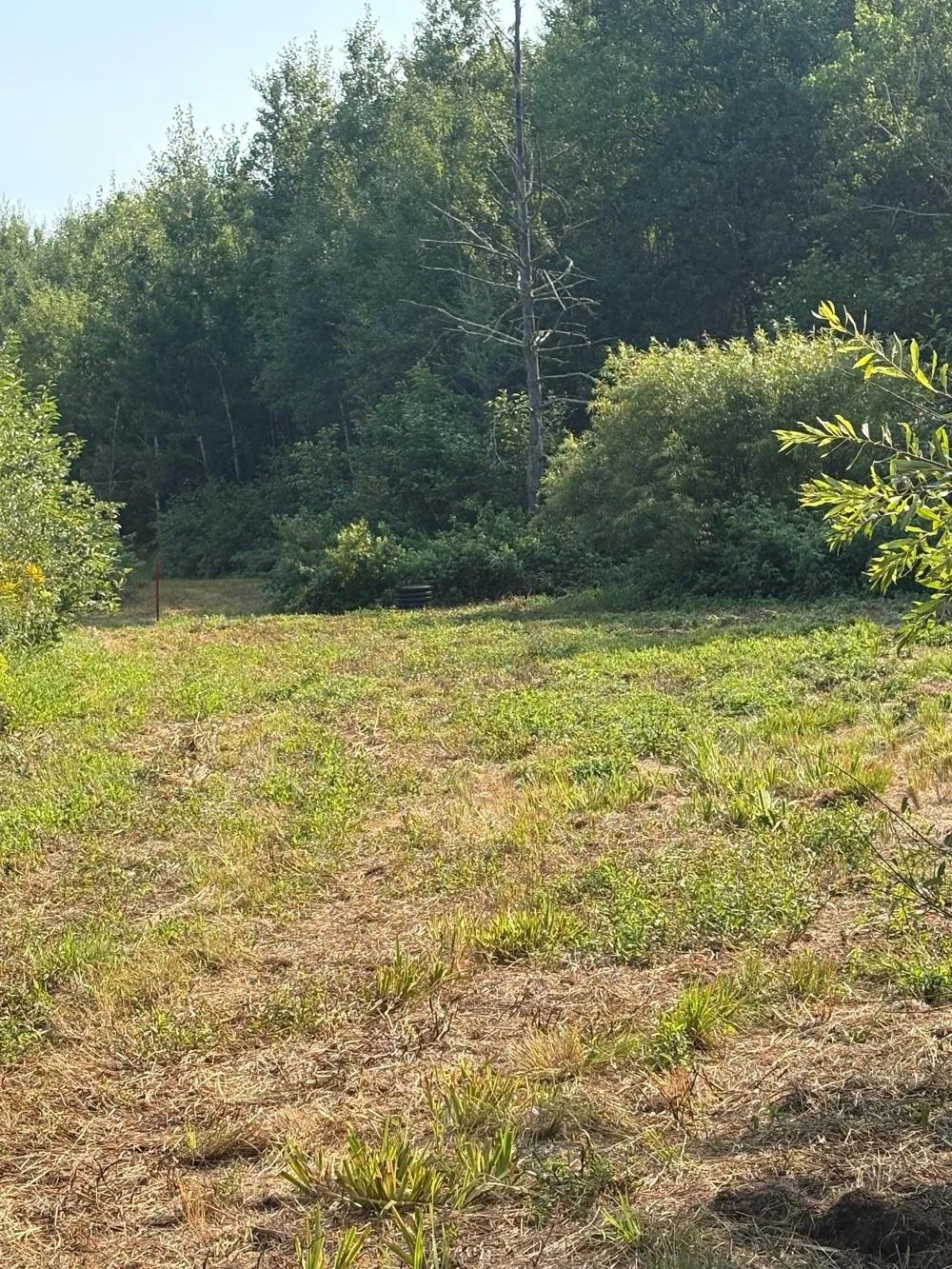 40243 650th Street Swatara, MN 55785