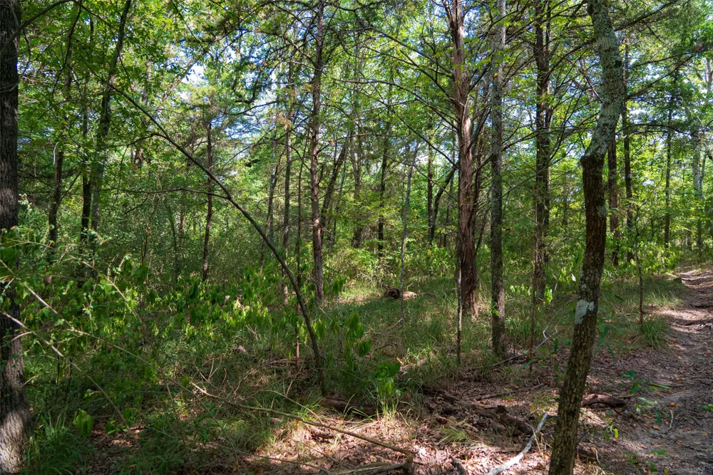 10446 Fm 859 Edgewood, TX 75117