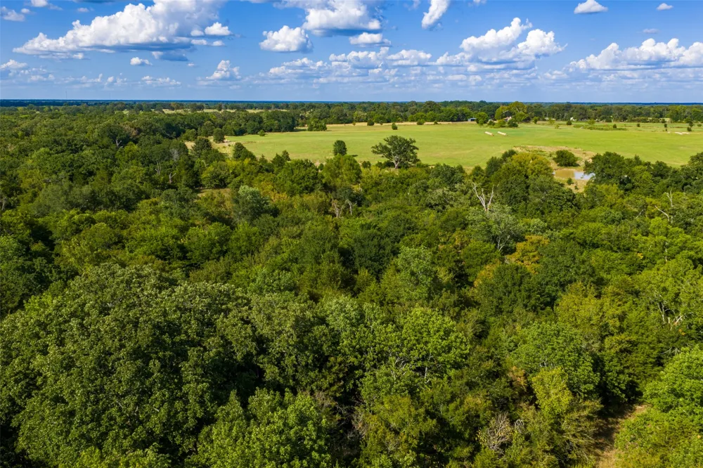 10446 Fm 859 Edgewood, TX 75117