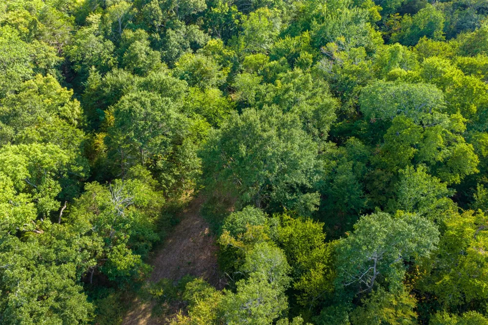 10446 Fm 859 Edgewood, TX 75117