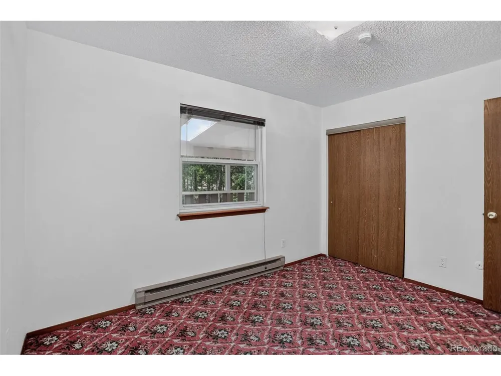 31788 Chalet Drive Conifer, CO 80433