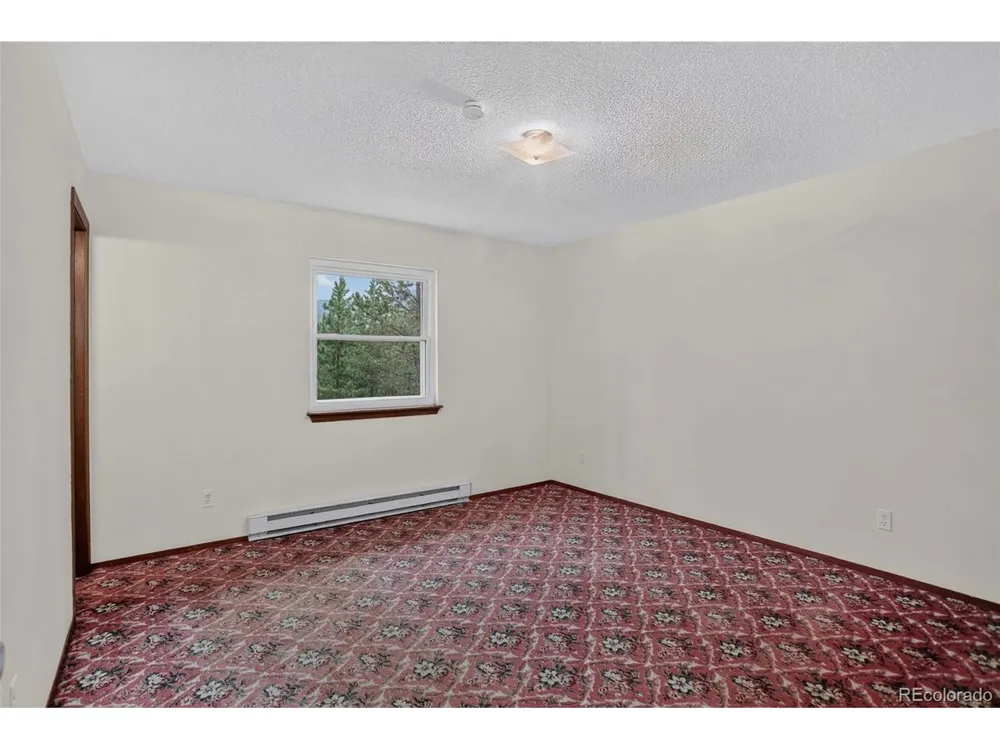 31788 Chalet Drive Conifer, CO 80433
