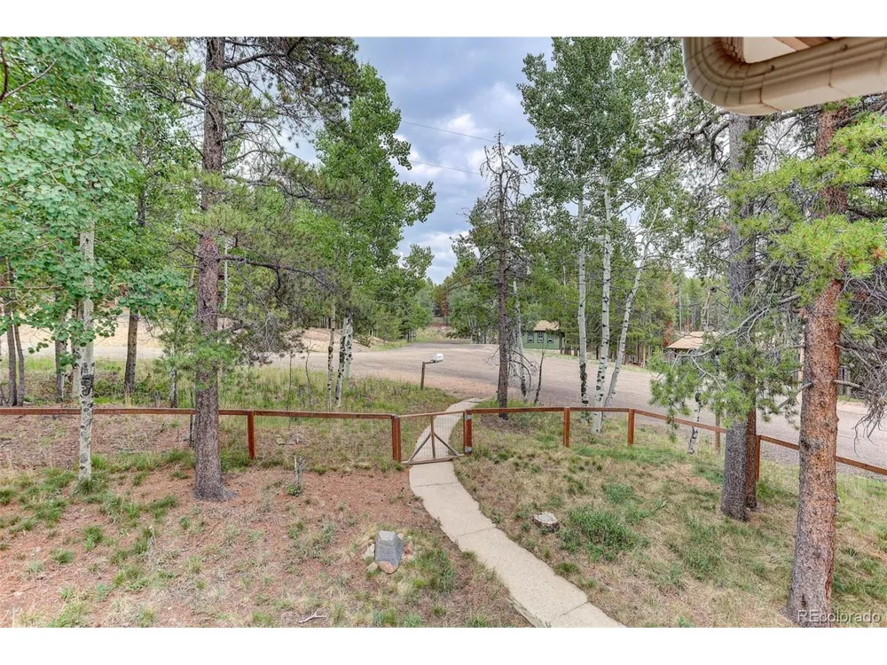 31788 Chalet Drive Conifer, CO 80433