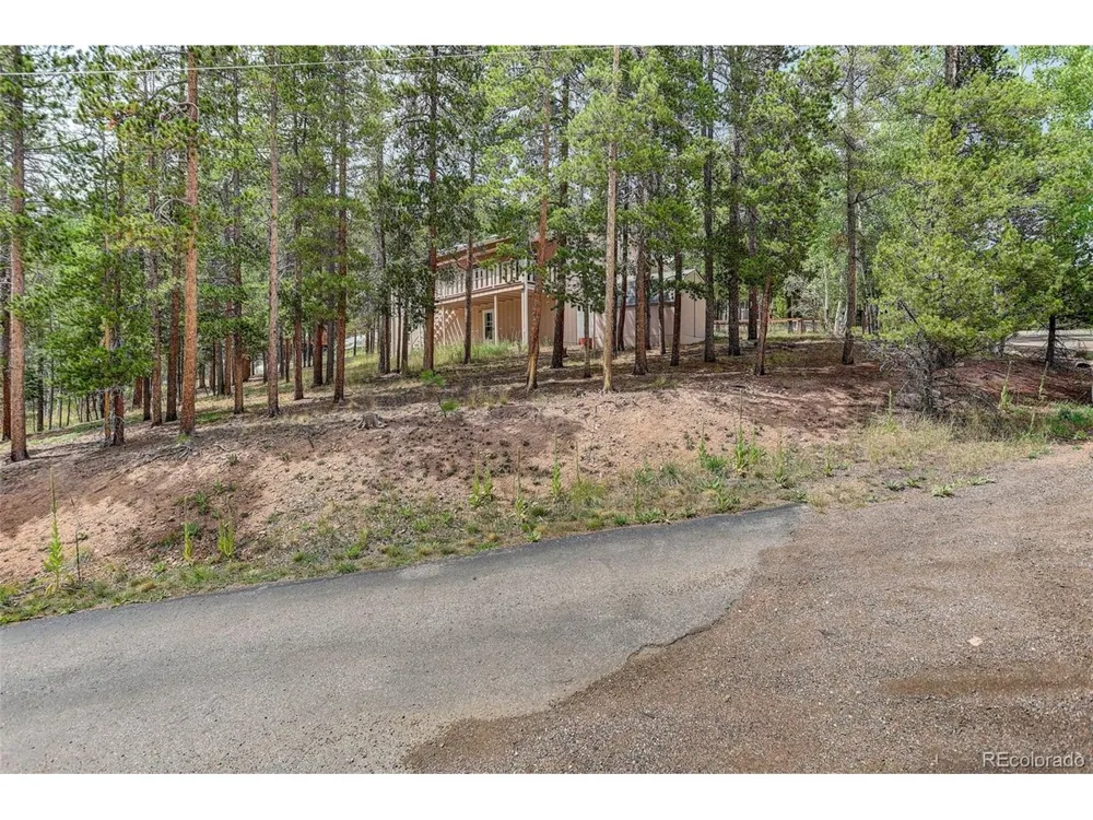 31788 Chalet Drive Conifer, CO 80433