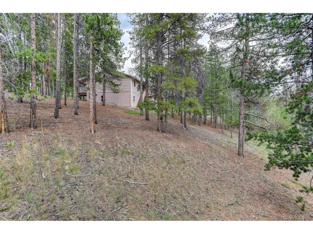 31788 Chalet Drive Conifer, CO 80433
