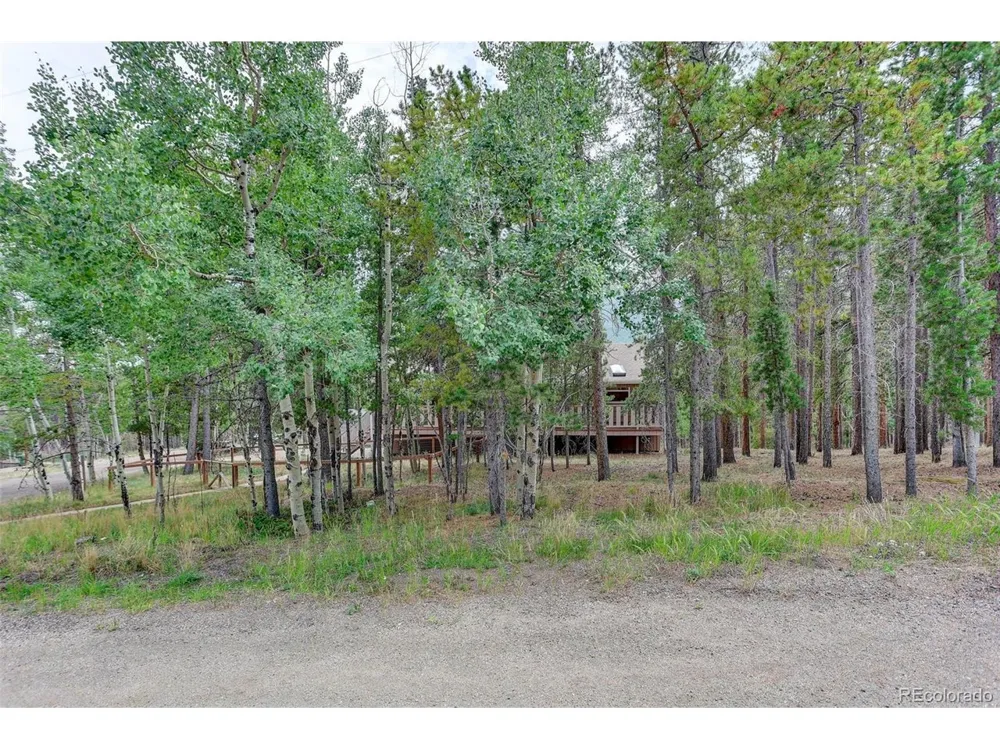 31788 Chalet Drive Conifer, CO 80433