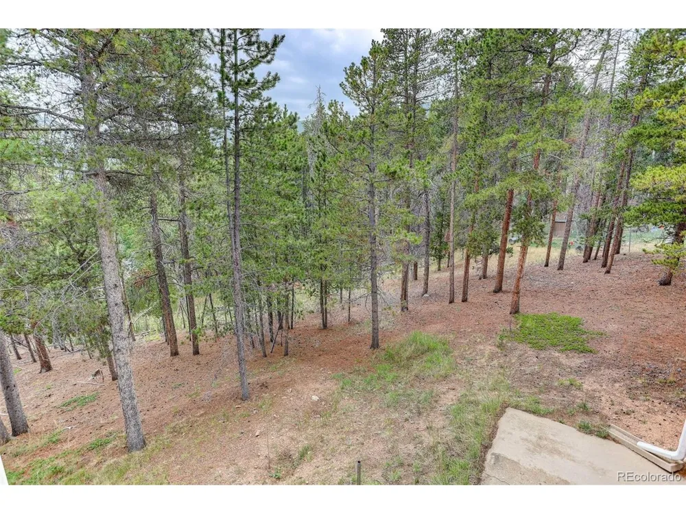 31788 Chalet Drive Conifer, CO 80433