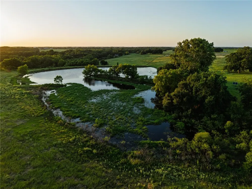 8531 Tottenham Road Chappell Hill, TX 77426