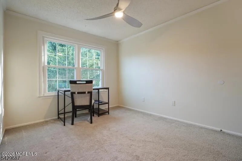 6 Amethyst Way Franklin Park, NJ 08823