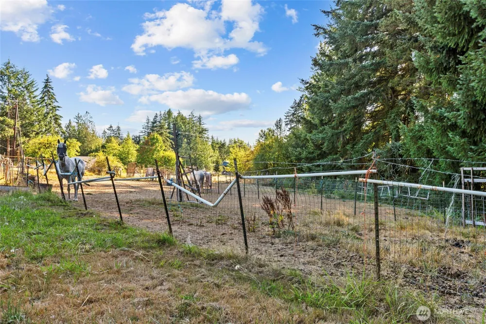 342 Chilvers Road Chehalis, WA 98532