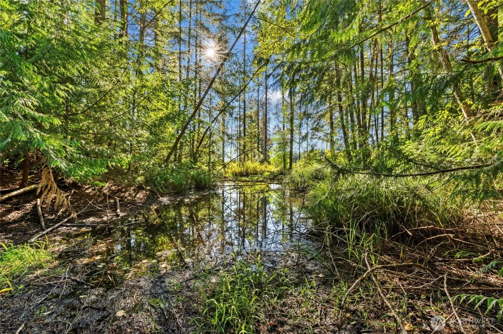 342 Chilvers Road Chehalis, WA 98532
