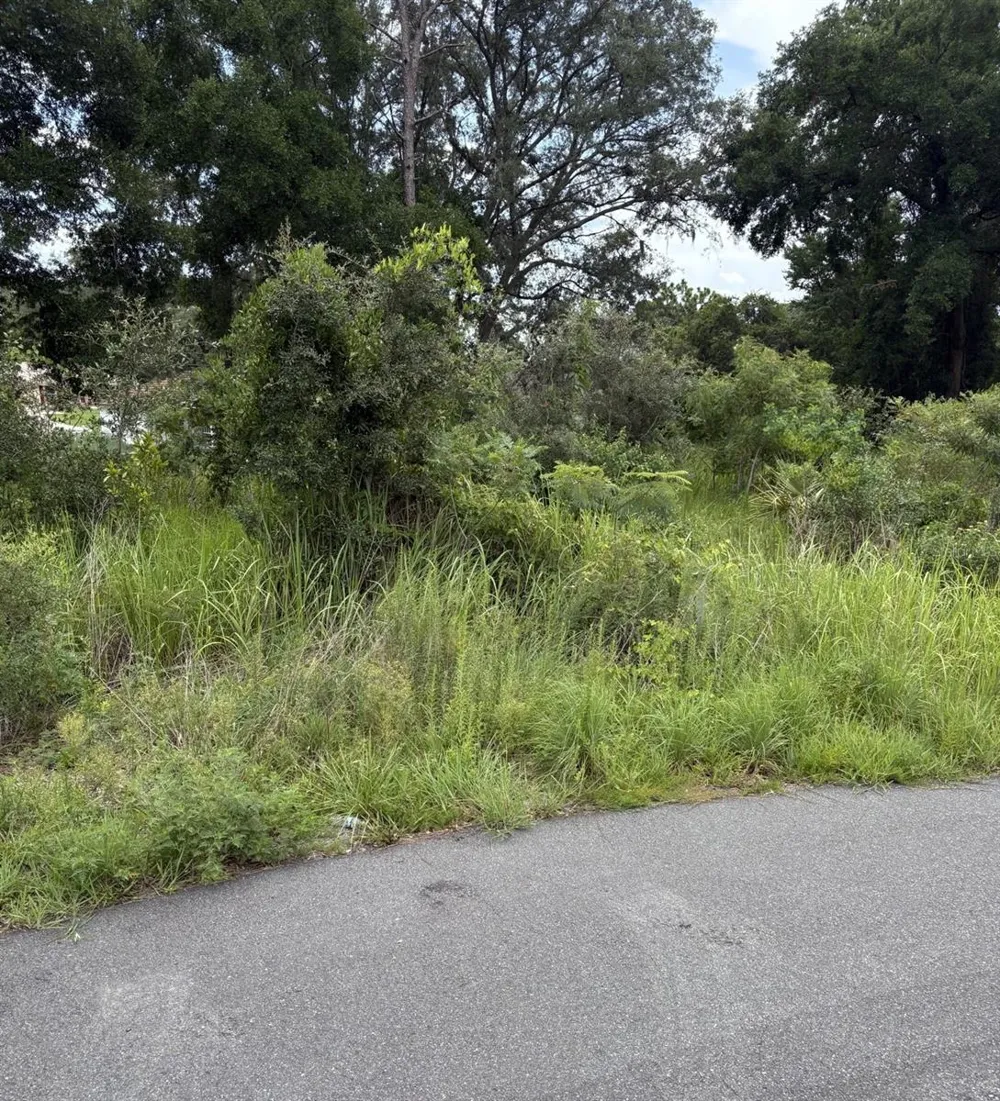 OAK PASS RUN #Lot 10 ocala, FL 34477