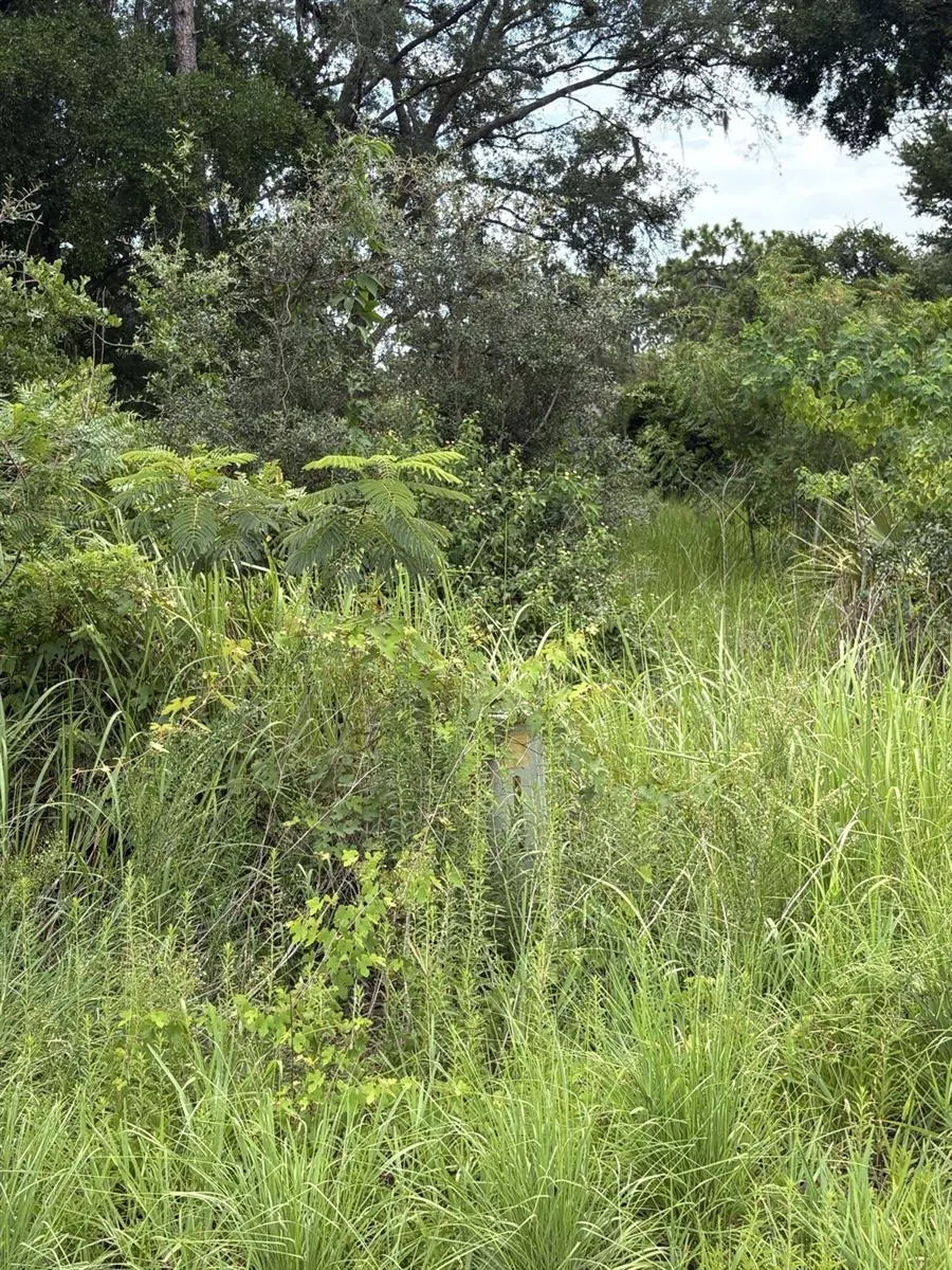 OAK PASS RUN #Lot 10 ocala, FL 34477