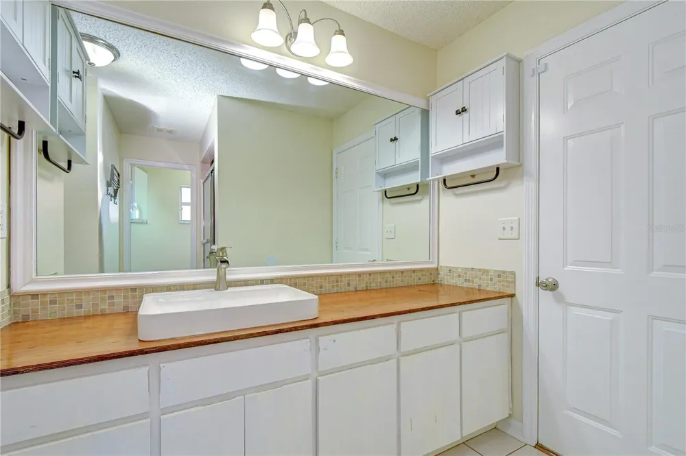 1108 DOCKSIDE DRIVE Lutz, FL 33559