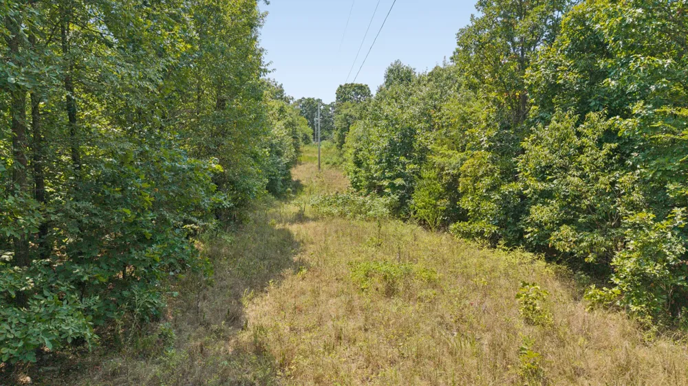 54601 E 233 ROAD Afton, OK 74331