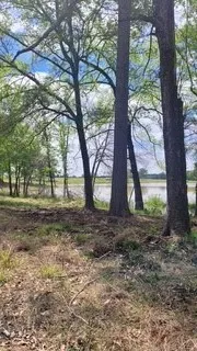 White Oak Creek Ranch Big Sandy, TX 75755