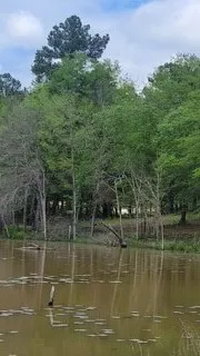 White Oak Creek Ranch Big Sandy, TX 75755