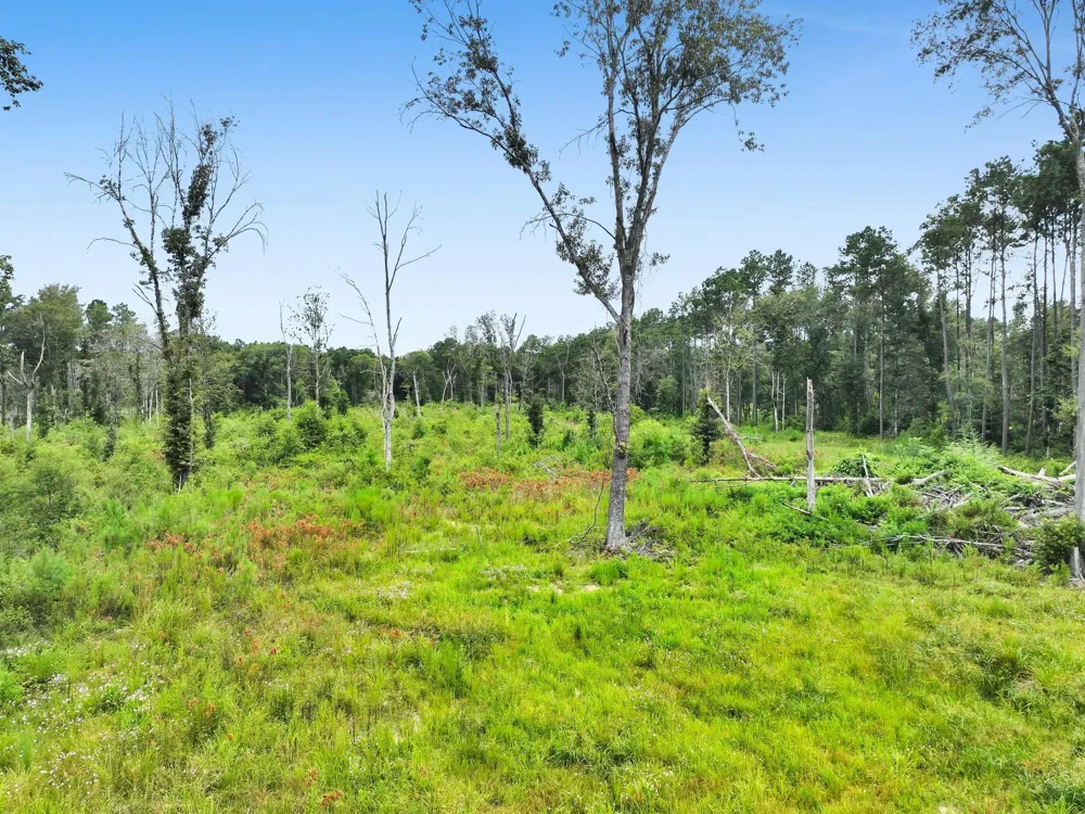 9870 Highway 326 Kountze, TX 77625