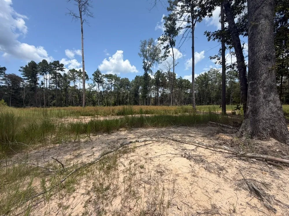 9870 Highway 326 Kountze, TX 77625