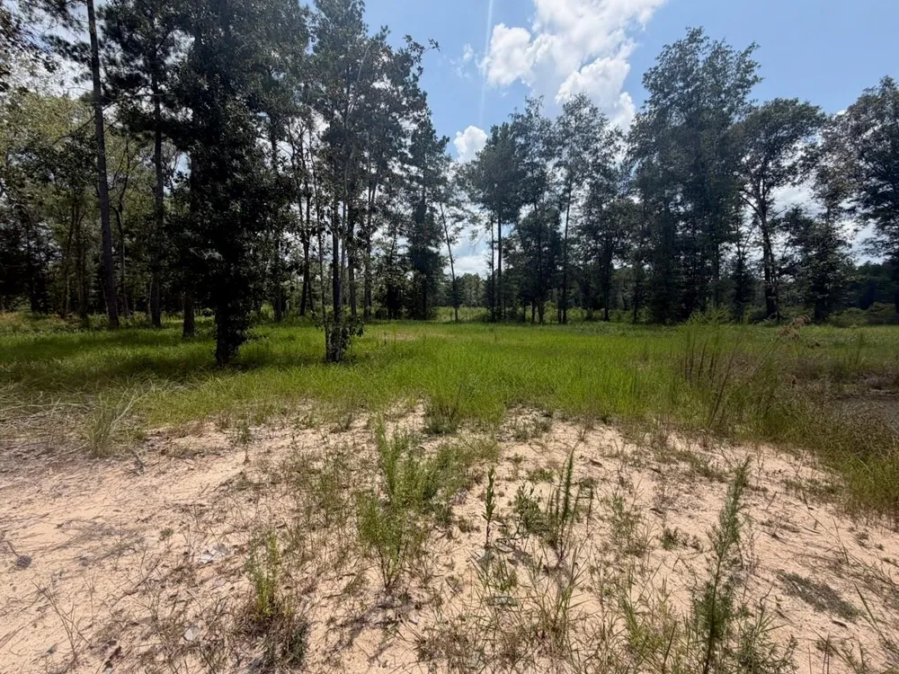 9870 Highway 326 Kountze, TX 77625