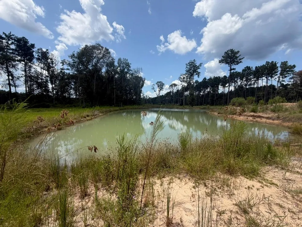 9870 Highway 326 Kountze, TX 77625