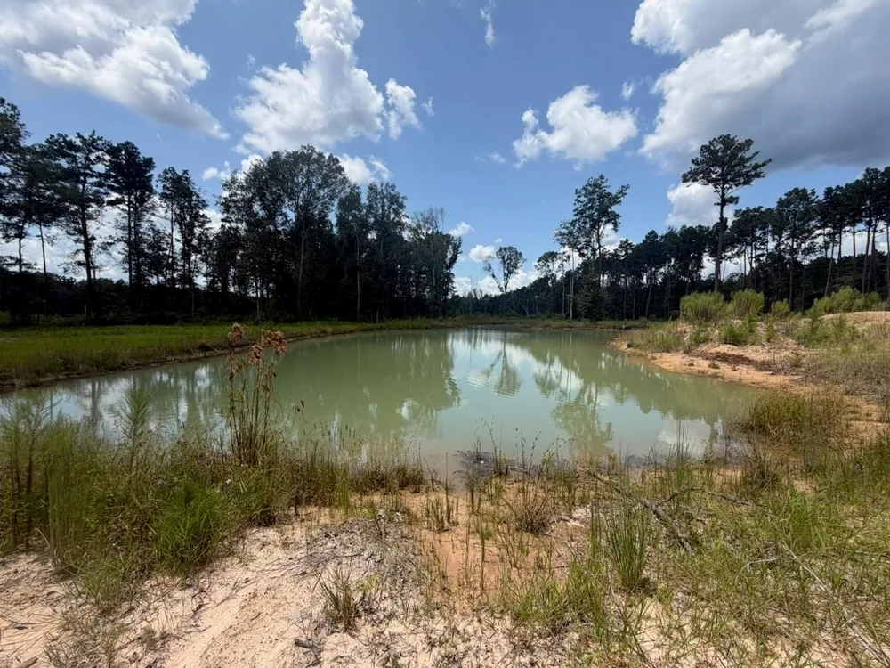 9870 Highway 326 Kountze, TX 77625