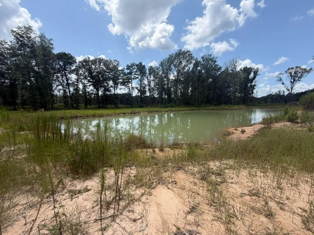 9870 Highway 326 Kountze, TX 77625
