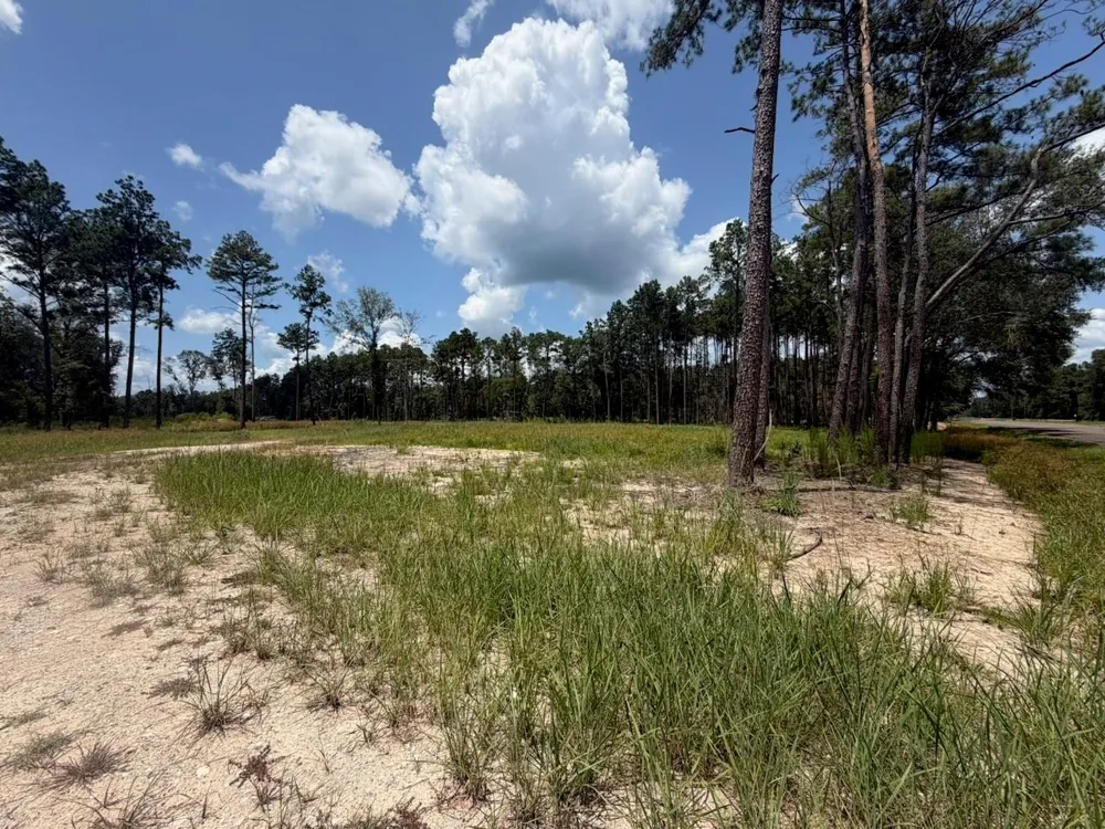 9870 Highway 326 Kountze, TX 77625