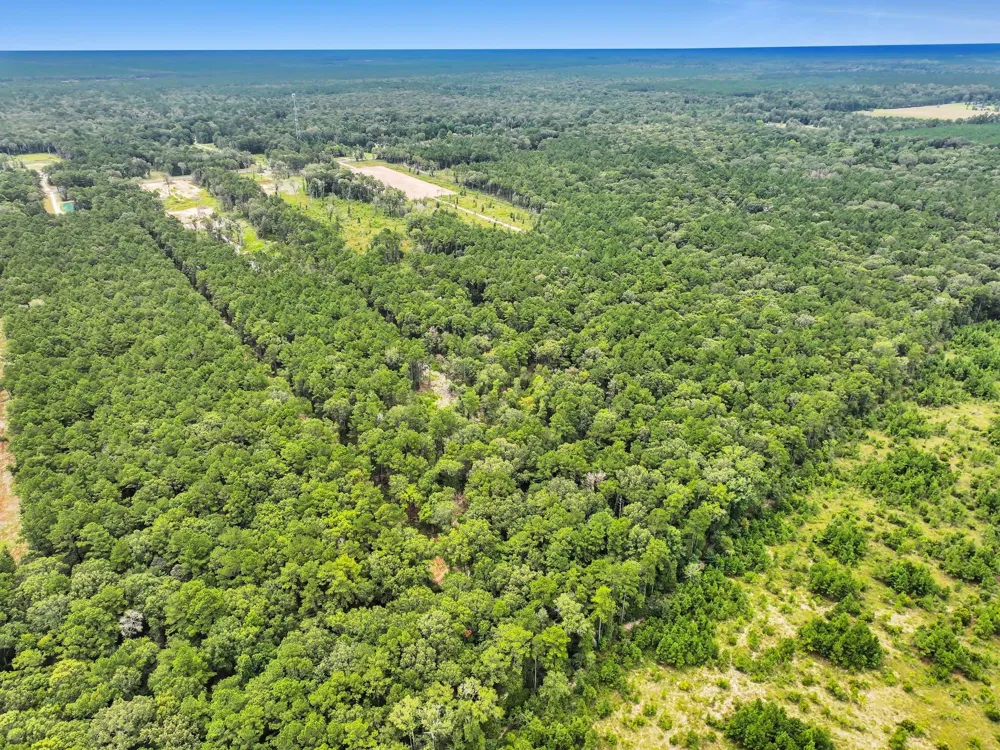 9870 Highway 326 Kountze, TX 77625