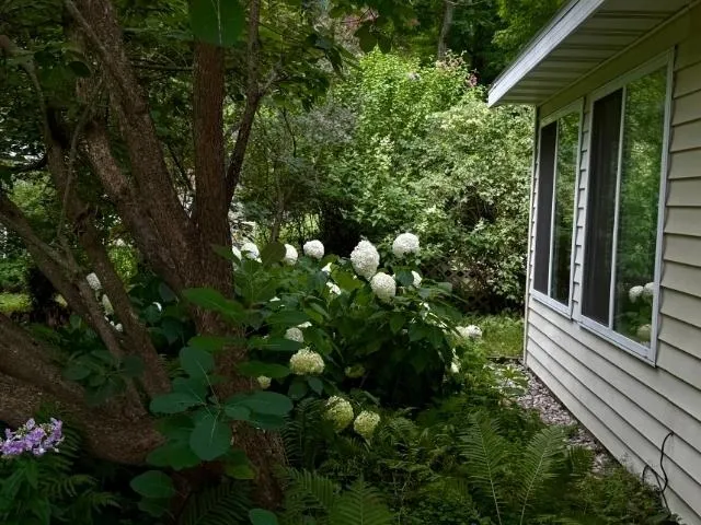 4162 Chrystal Street Green Lake Township, MI 49643
