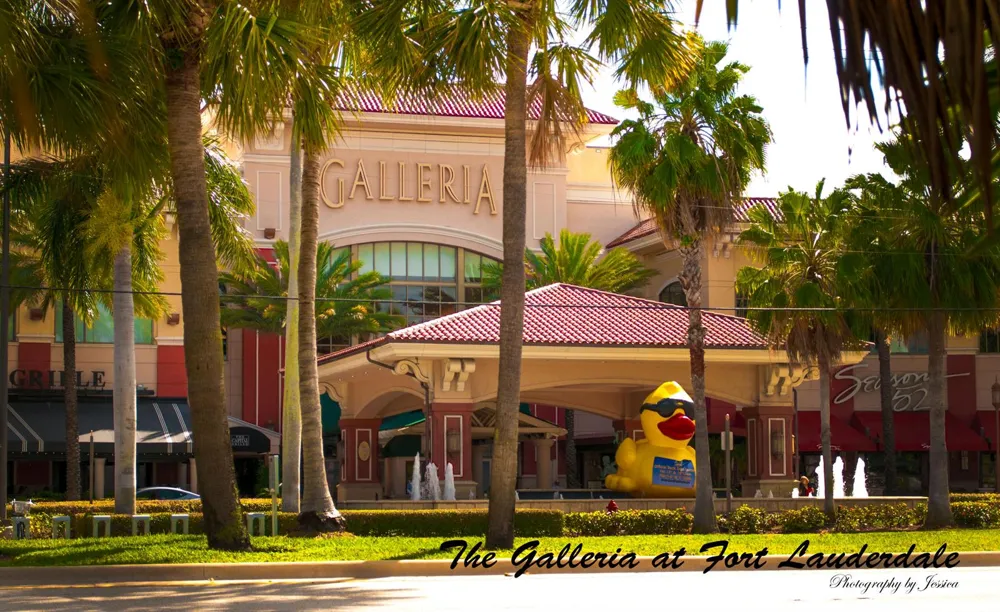114 NE 16TH TERRACE Fort Lauderdale, FL 33301