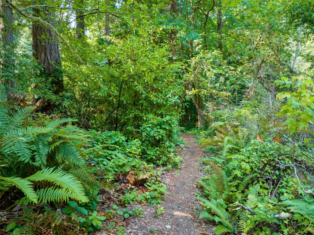 9998 NE Lofgren Road Bainbridge Island, WA 98110