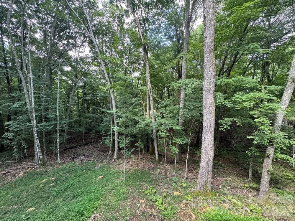 54 Hamlin Lane Mars Hill, NC 28754